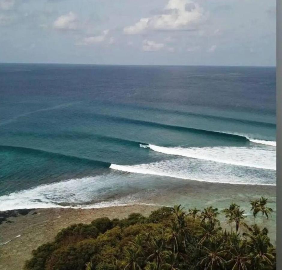 فندق Eq Surf Retreat مولي المظهر الخارجي الصورة
