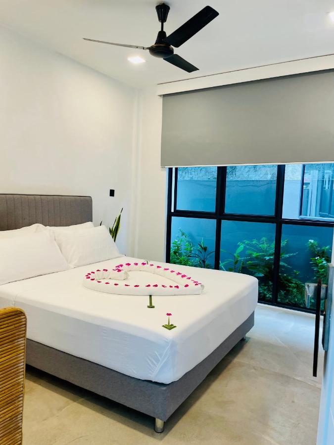 فندق Eq Surf Retreat مولي المظهر الخارجي الصورة